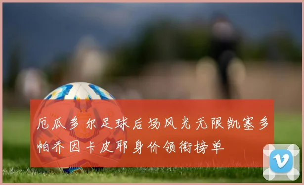 厄瓜多尔足球后场风光无限凯塞多帕乔因卡皮耶身价领衔榜单