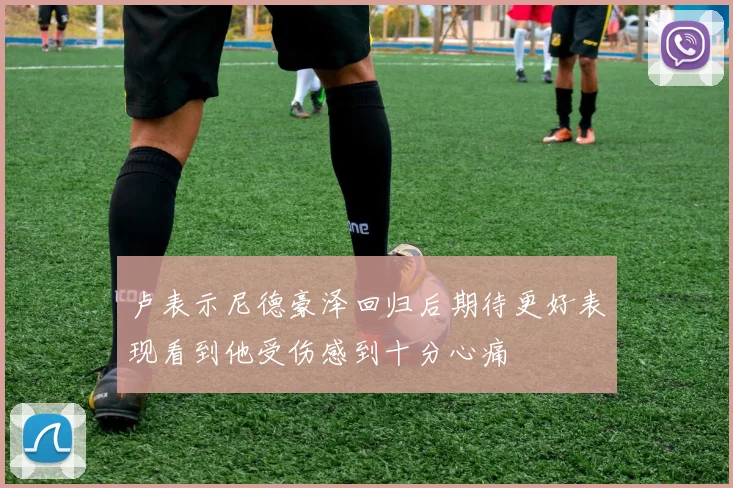 卢表示尼德豪泽回归后期待更好表现看到他受伤感到十分心痛